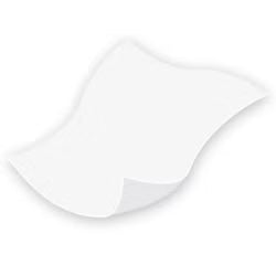 Flushable Personal Wipe TENA ProSkin™ UltraFlush® Soft Pack Scented 48 Count