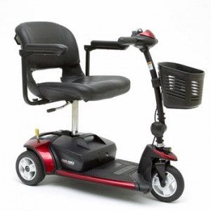 Scooter Rentals (Small/Large)